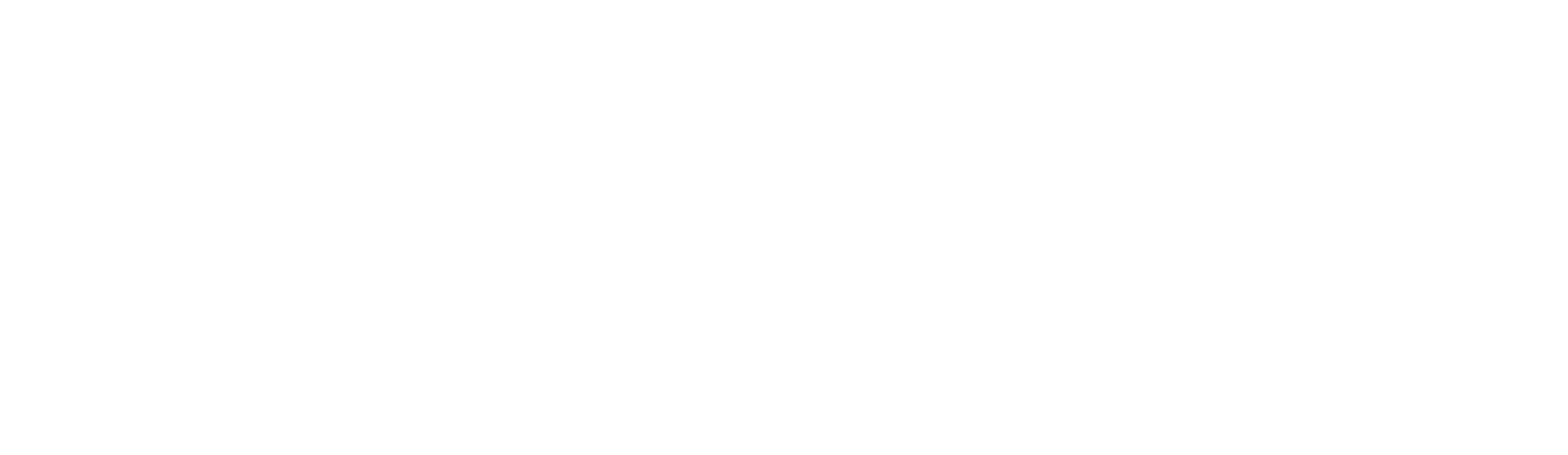 Main Logo